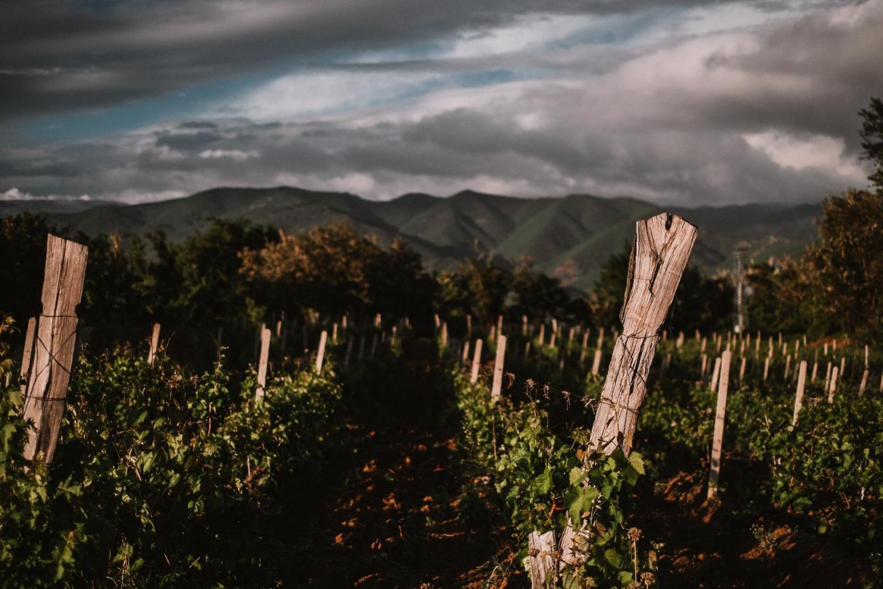 Popova Kula Hotel & Winery Demir Kapija Bagian luar foto